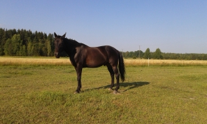 20140805_083440