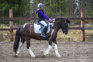 DSC_0367