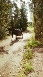 IMG-20160821-WA0007