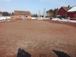 kenttäkesä